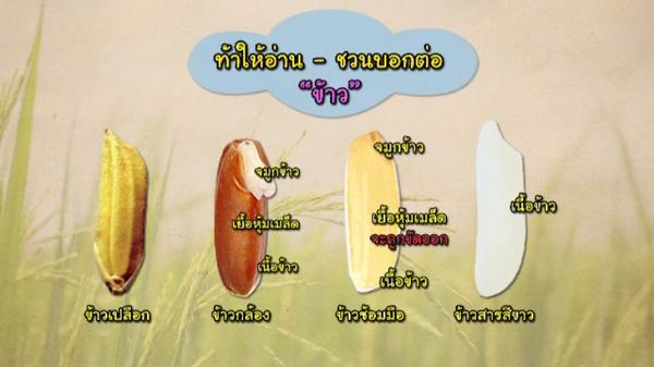 “ท้าให้อ่าน” เวลานี้กับ หนังสือโจทย์  นั่นก็คือ “เรื่อง วิทยาศาสตร์อาหาร” ค่ะ thaipbs.or.th/live #ThaiPBS