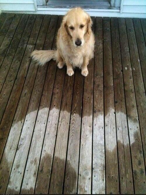 BujiiJae17's tweet photo. แล้วทำไมตอนฝนตกมึงไม่ลุก 😂 http://t.co/gBa1WHw29g
