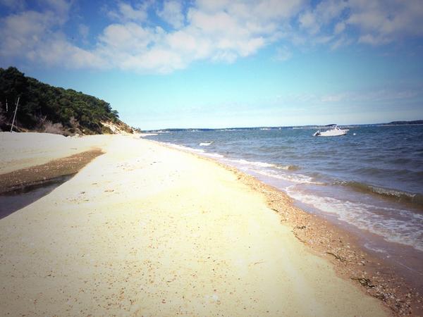 joys928's tweet photo. Miss you #sagharbor http://t.co/jC4bzQIO3H