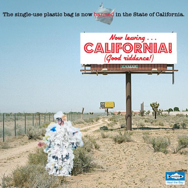 VICTORY: Single-use plastic bags are now BANNED in Calif! bit.ly/1u7uJsv #sb270 #CAbagban