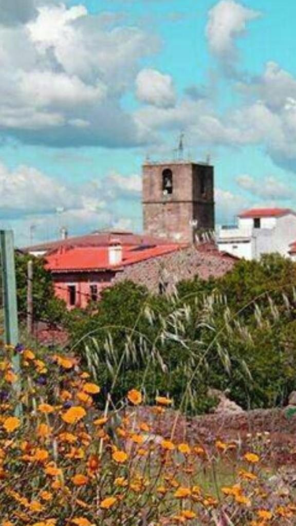 Nacho Trevejo S Gata tweet media