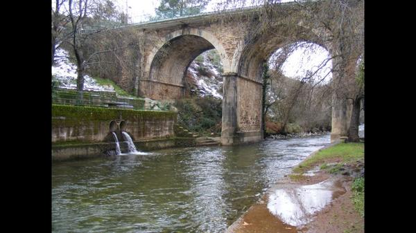 Nacho Trevejo S Gata tweet media