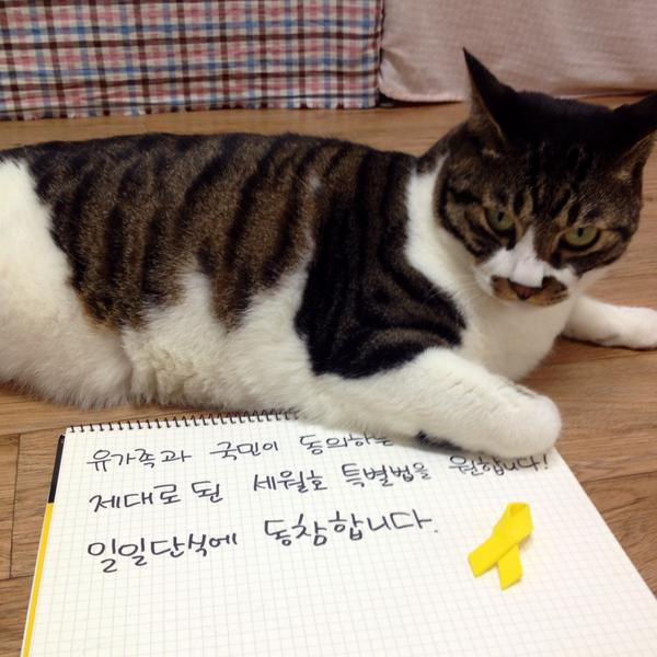 mingxiv tweet picture