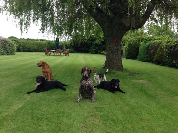 lincolnshirek8's tweet photo. @martinvickersmp - will you please attend the @pupaid debate in Parliament on 4th September ? http://t.co/H8SF93fBwy