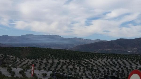 f_cancellara's tweet photo. Goodbye andalusia. We will leave the region. #heat #olive http://t.co/l07f9I1yrR