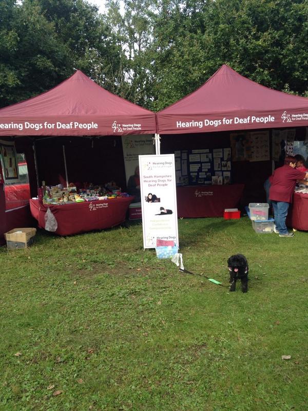markpegg61's tweet photo. @EastleighBC Come along and visit us @SHHearingDog at Fun Dog show - old Golf Course Field http://t.co/ChuK5j44qR