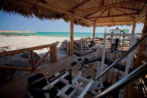 Gymporn24's tweet photo. Perfect 😍 http://t.co/FRNZVA8iqL