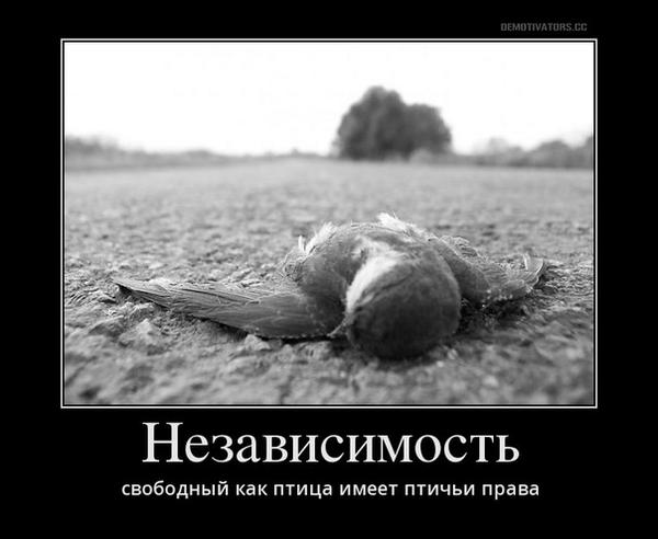 LevY76S's tweet photo. http://t.co/tVfsz3vZlQ