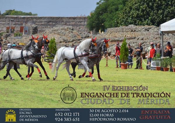 ayto_merida tweet picture