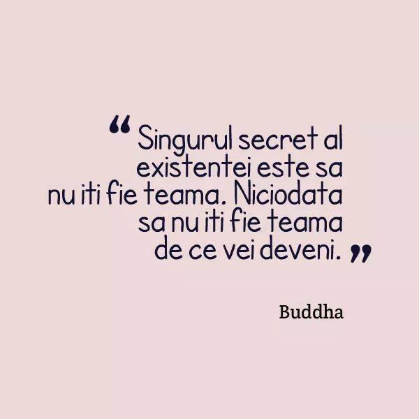 MandruRoman's tweet photo. Friendly Romanian advice http://t.co/Fr2d1uLYOR