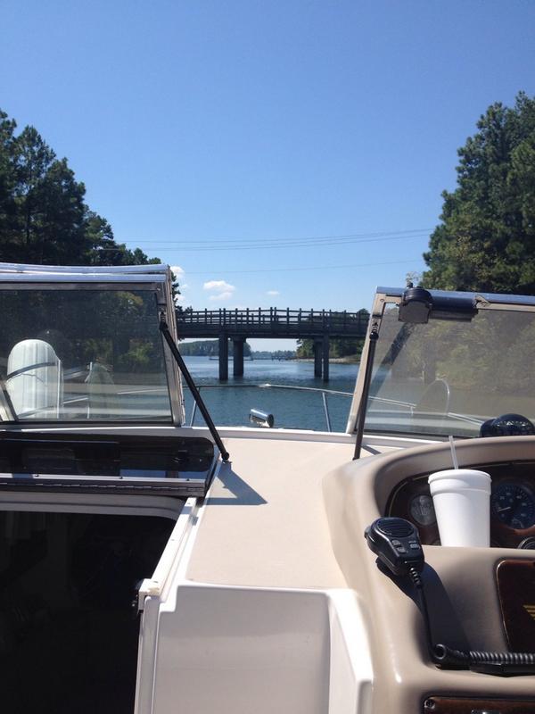 ldrigs's tweet image. 