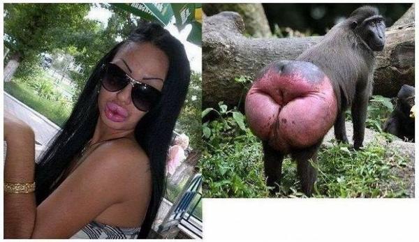 Nailedlt's tweet photo. Nailed it. http://t.co/umaZa1oU48