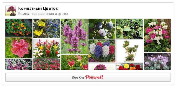 gidrogel tweet picture