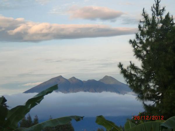 Andajani's tweet image. Pepohonan dgn latar belakang Gn. Salak #MegaMendung Bogor ini bikin adem @motulz