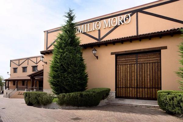 "EmilioMoro primera bodega d la Ribera del Duero adaptada a personas con discapacidad visual" bit.ly/1qpFlSI