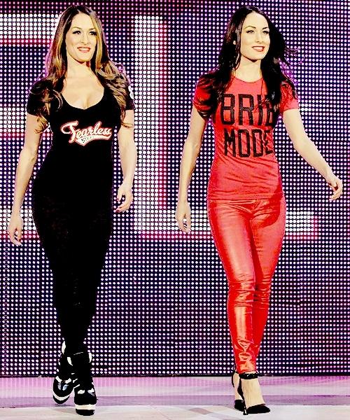 evynp2009's tweet image. On one side you see brie Bella and on the other side you see Nikki Bella Nikki shouldn't have did what she did brie