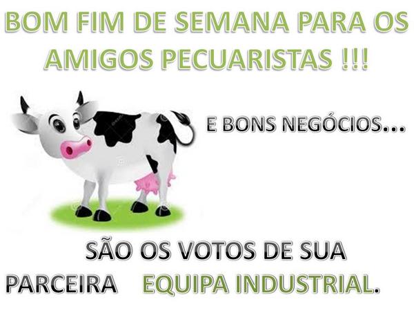 EQUIPA LATICINÍOS tweet media