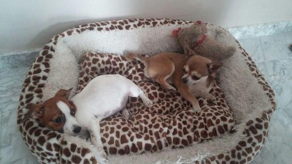 aarandonga's tweet photo. Hugo y su primo lucas jajajajajajajaja @mariquilla1390 http://t.co/oF8zMIsW10