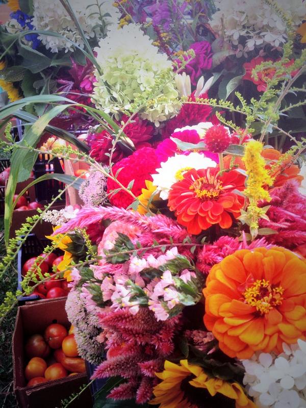 Nelson 151 tweet media