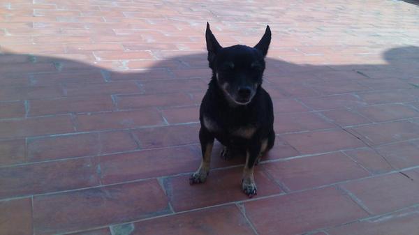 peteta fernandez ♡ (@petetafernandez) on Twitter photo 