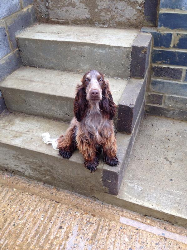 My gorgeous Bracken <a href="/justinz92/">Justin</a>