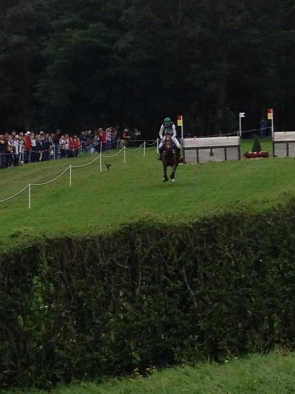Melb_IHT's tweet photo. Great job by the Aussies  #WEG2014 including #miht winner  @Shane_M_Rose. Team lying third after cross country http://t.co/2EPCRCbvsb