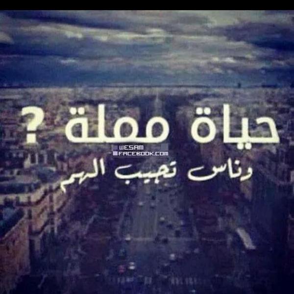 ♥♥نونه البغداديه ♥♥ (@sajad123277) on Twitter photo 
