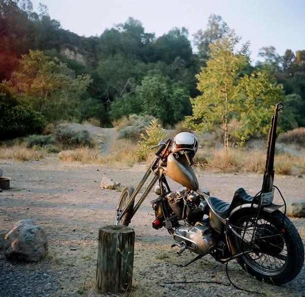 viveHarley's tweet photo. #Harley #Custom #Foto http://t.co/9dmHkM8urd
