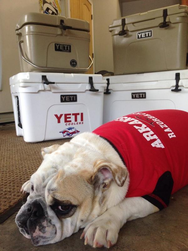 sherri4123's tweet photo. Roxy says the Yeti's are ready for Game Day! #YETIGameday @YetiCoolers http://t.co/8eBPHO2ztx