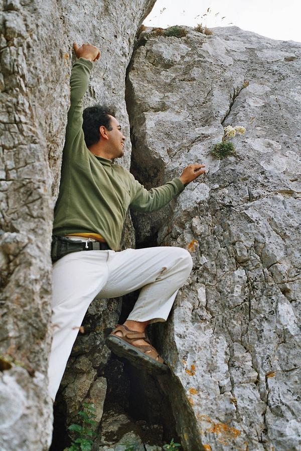 Riccardo Guarino tweet media