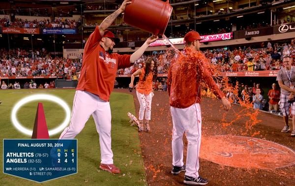 Eric Riedl (@garlicshark) | Twitter