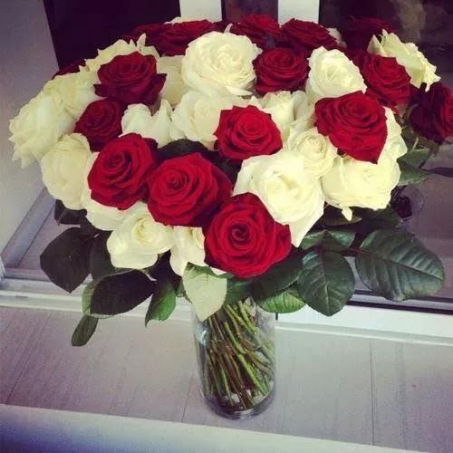 ¡HAPPY BIRTHDAY SARA RAMÍREZ! Right Here And Right Now.. ¡Great Day! :D  desde Mérida.. 