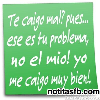 nayeliacevedo7's tweet image. AJAM !