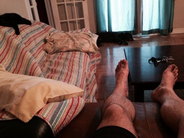 DeltaProduce's tweet image. Weekends are made for relaxing #weekend #dogsnoresmorethanido