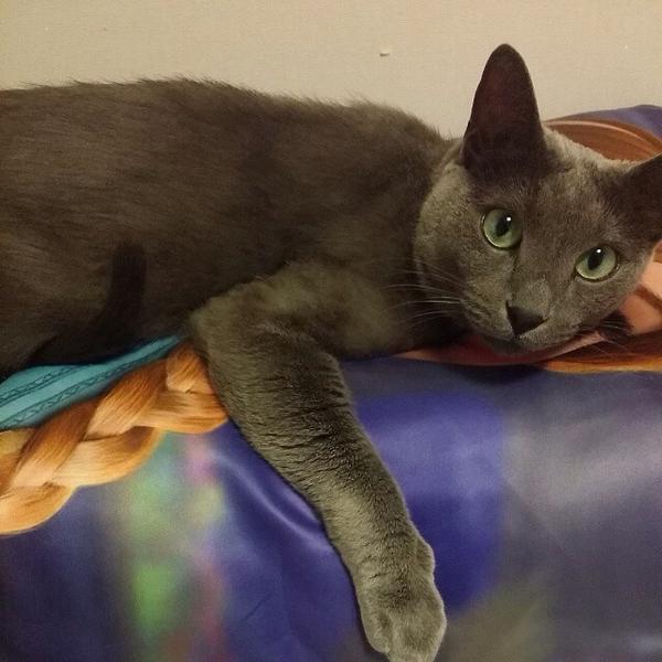 bothxxnim's tweet photo. ヒボマ. 何でお前がアナと抱きあってんだ?? #HEEBUM #不倫  #愛と戦争 #ASUKA #戻って来てよアスカちゃん https://t.co/xeeL0JNzwG