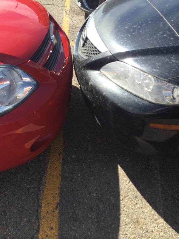 Starfishlb's tweet photo. @DBagParkingYYC kissing cousins? Kingsland farmers market http://t.co/I5iyR3XlZq