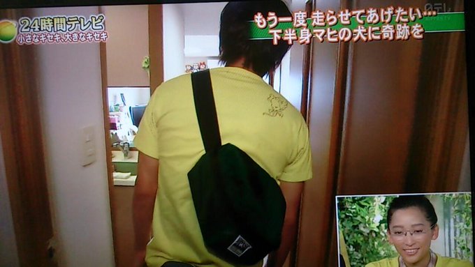 24時間テレビ 8 31 下半身マヒの犬に奇跡が まとめ メインパーソナリティー 関ジャニ 関ジャニ なにわ男子まとめ