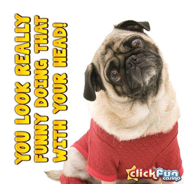Katie2605's tweet photo. @MrDDyer http://t.co/7OITJGUgFo