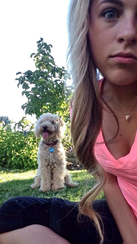 heyyitsjules's tweet image. I love this little guy❤️ #maley