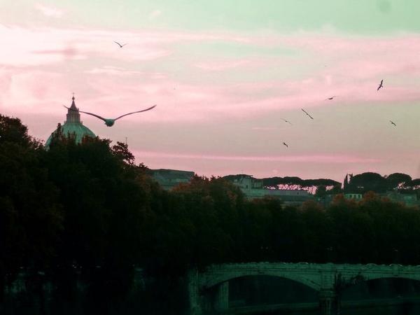 TrastevereRM's tweet photo. Roma...i colori dell'ultimo mattino di agosto... http://t.co/7FW4MKvb2g