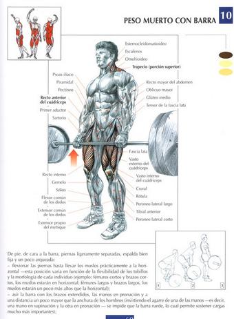 Abdominales con peso muerto hot sale