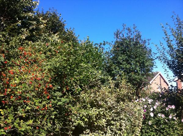 That's better. Last day of August..sunshine and blue skies.