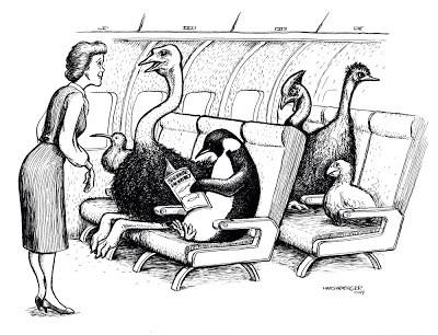 WowWonka1's tweet photo. Flightless Birds http://t.co/HNVyRXFSBv