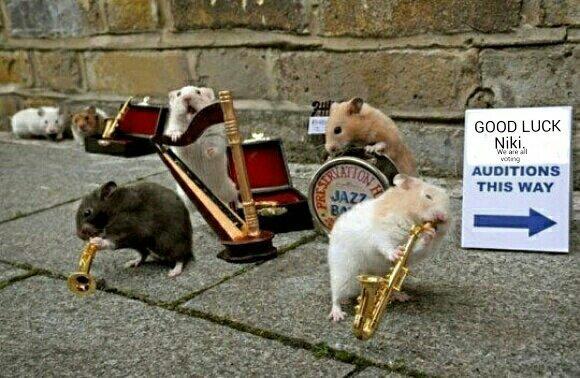 nikityler1's tweet photo. Did u all see this fab pic that @traceydavinaril sent me? Thank u Tracey.Such amazing support. http://t.co/ZIEUCYtGpy http://t.co/v9p8mZNaj2