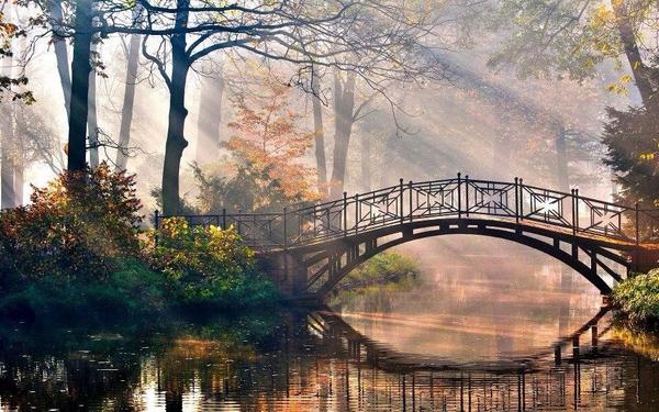 Gabriele Corno tweet media