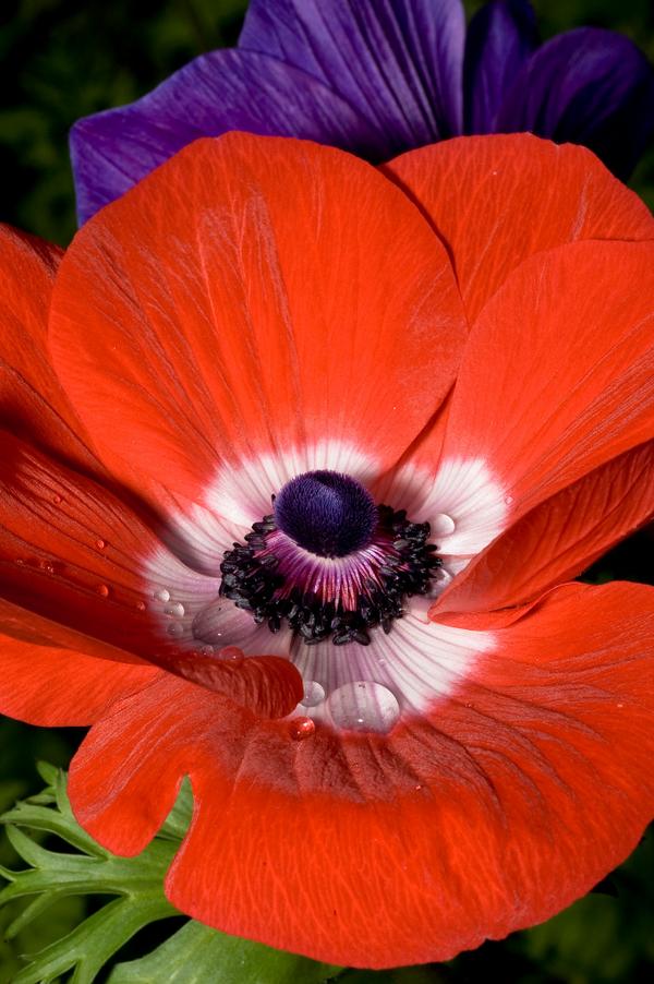 Even_Images tweet picture