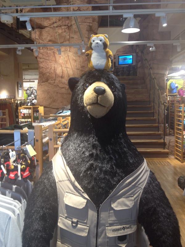 rascalmagic1's tweet image. ある〜日、森の中〜、くまさーんに、出会った〜