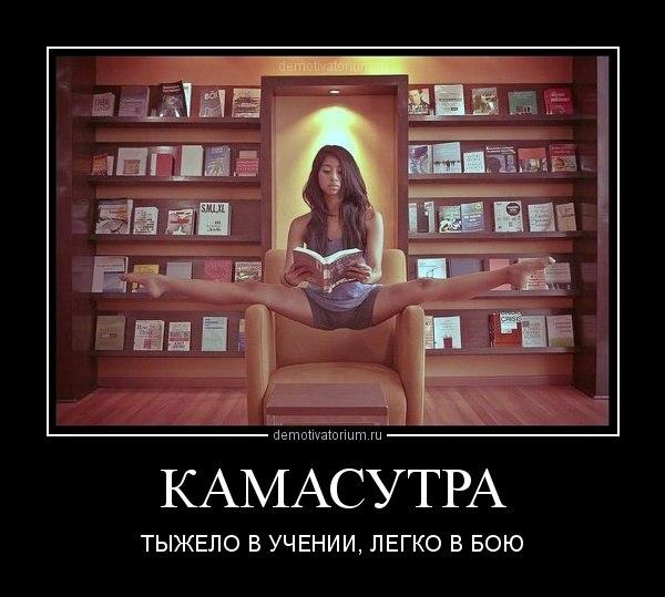 Iljya3Go's tweet photo. http://t.co/KEwtKzEOl2