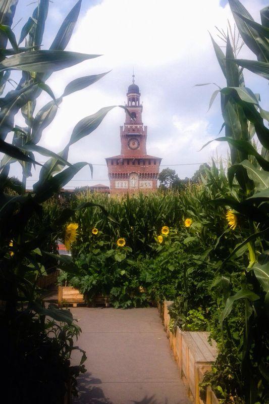 MissCorbetta's tweet photo. Visto #QUANTOMAIS @expogate ? Oggi ultimo giorno! @gnambox @Saturnino69 @DAVIDEOLDANIDO @massimcoppola @F_Marchetti_ http://t.co/MuOI5dhfj6