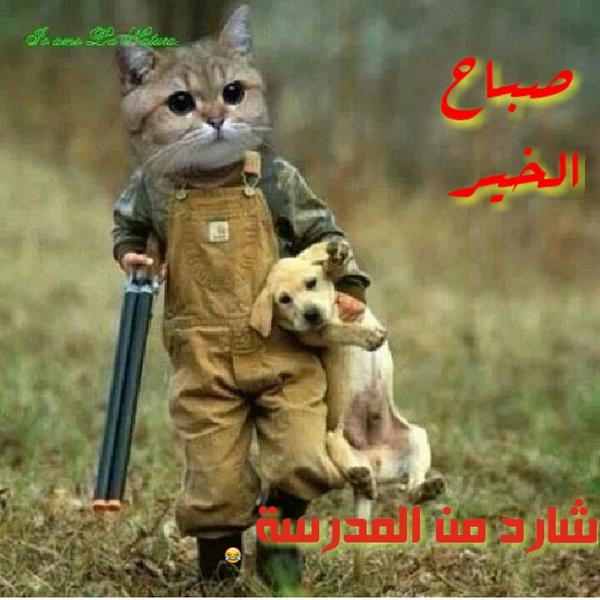 LegentO's tweet photo. @KSA__S65 http://t.co/O3v4GNwXyl